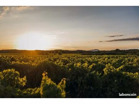 terrain 956 m² assas