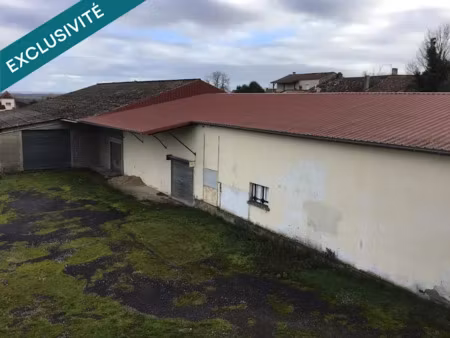 vente locaux professionnels 1400 m² à castillonnès (47330)  193 000 €