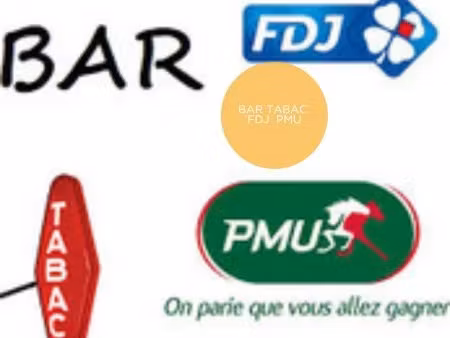 vente locaux professionnels 109 m² à domalain (35680)  104 000 €