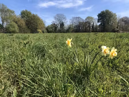 terrain constructible neuf à vendre