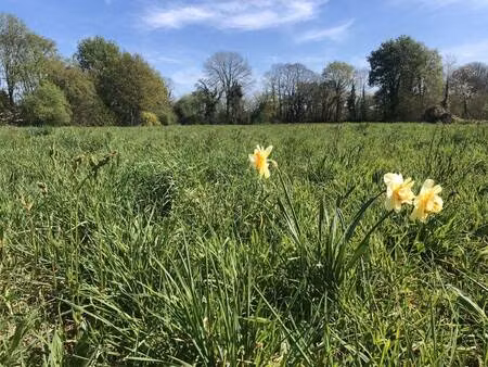 terrain constructible viabilisé à vendre