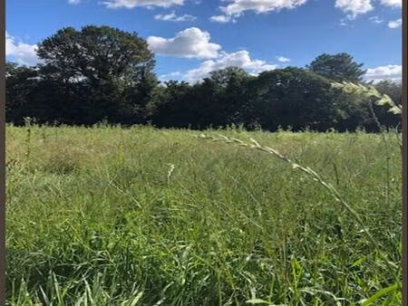 terrain constructible viabilisé à vendre