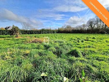 terrain constructible viabilisé à vendre