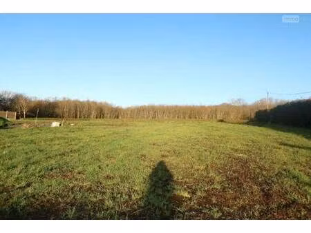 terrain constructible viabilisé à vendre