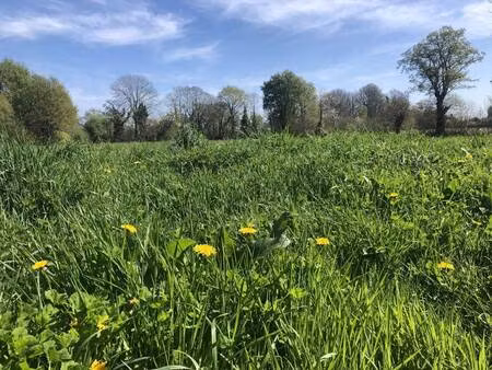 terrain constructible viabilisé à vendre