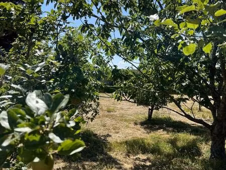 terrain constructible viabilisé à vendre