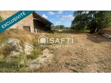 virginie conte larue