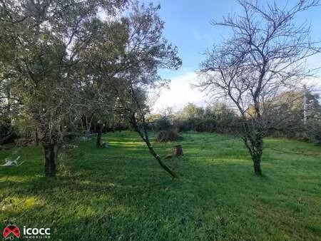 vente terrain à mareuil-sur-lay-dissais (85320) : à vendre / 1022m² mareuil-sur-lay-dissai