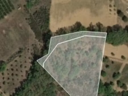 vente terrain agricole 6 230 m²