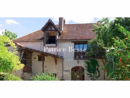 corps de ferme avec dépendances et jardin noyers (89)