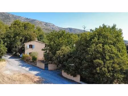 pg immobilier