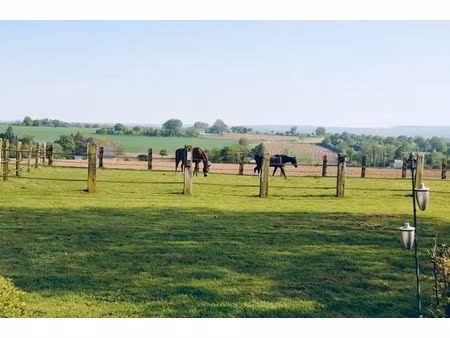propriété équestre à vendre – 7 pièces – 2 8 hectares – landelles-et-coupigny (14)  calvad