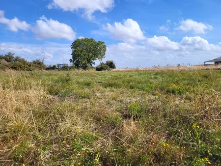 terrain à vendre de 1 624 00 m² airvault (79)