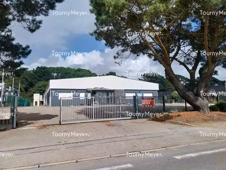 local professionnel a louer