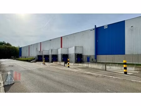 commercieel te huur in willebroek