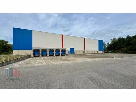 commercieel te huur in willebroek