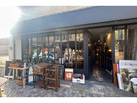 annonce commerce à vendre