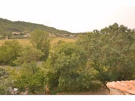 belle maison de village rénovée avec petit jardin à agel