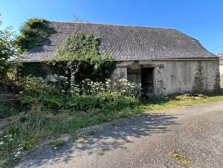 vente maison 1 pièce bassignac-le-bas (19430)