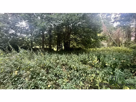 achat terrain 420m² st jean sur mayenne 53240