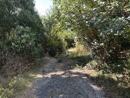vente maison 8 pièces 250 m² l’isle-en-dodon (31230)