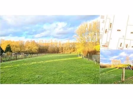 terrain à vendre à route de frasnes mainvault (rbu20392)