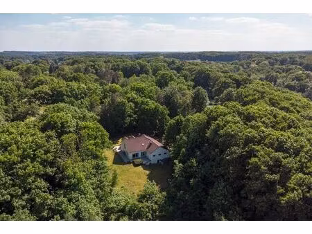 villa unique sur un grand terrain de 4.232 m² à holsbeek.