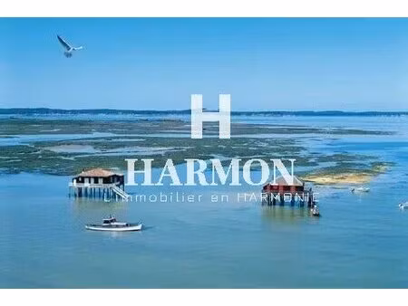 harmon immobilier brasserie restaurant
