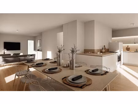 vente programme neuf t2  t3  t4 pièces 40 à 75 m² ascain (64310)