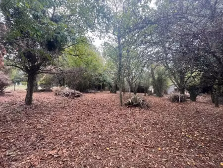 vente terrain 1423 m² à baladou (46600)  29 900 €