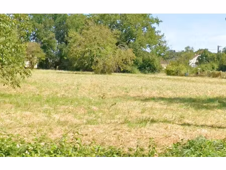 vente terrain à venesmes (18190)  37 770 €