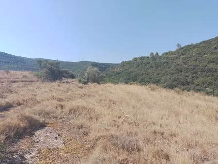 vente terrain 1141 m² à saint-martin-des-puits (11220)  39 900 €