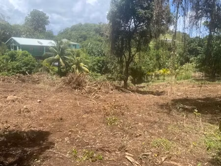 vente terrain 1628 m² à marin (97290)  155 000 €