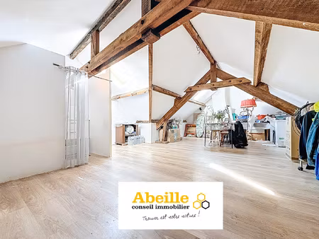 appartement f2 de 18 20 m2 en loi carrez (33 41 m2 au sol) 