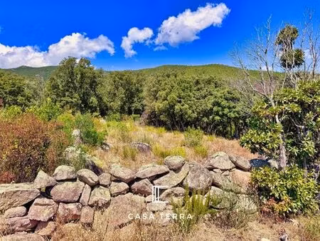 terrain de 3877 m2 en vente - porto-vecchio  france