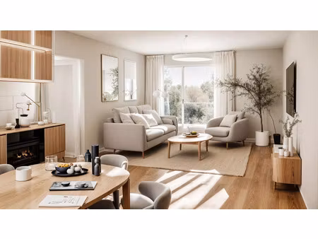 vente programme neuf t2  t4 pièces 41 à 94 m² ifs (14123)