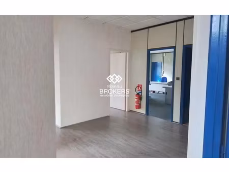 immobilier professionnel à louer lannemezan