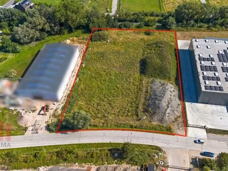 bien professionnel à vendre à ruien € 929.000 (ldfyi) - panorama b2b oost-vaanderen | zimm