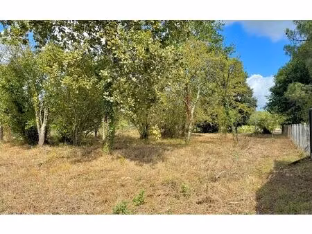 terrain listrac-médoc m² t- à vendre  117 700 €