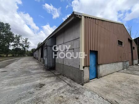 hangar et terrain à vendre à amou - référence 30282