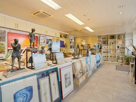 bien professionnel à vendre à wenduine € 459.000 (ldj2l) - dewaele business - brugge | zim