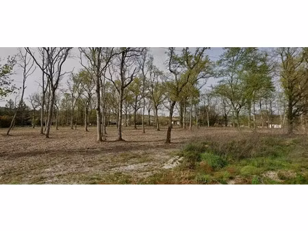 vente terrain 1174 m² à grézet-cavagnan (47250)  32 000 €