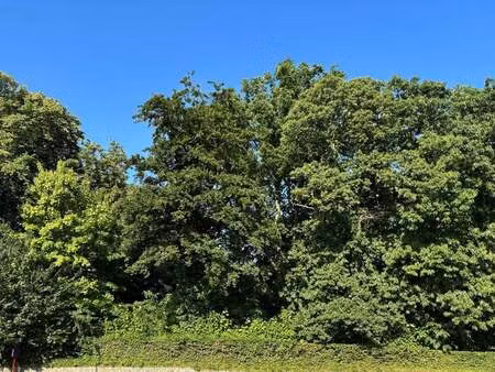 terrain à vendre à kessel-lo € 339.000 (ldiuz) - | zimmo