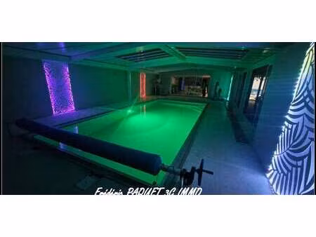 villa avec piscine saint-simon-de-pellouaille (17)