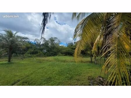 terrain 3 900 m² saint laurent du maroni