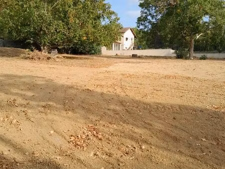 terrain à vendre à cologne