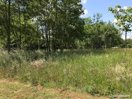 terrain constructile