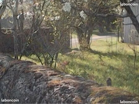 jardin préservé allain