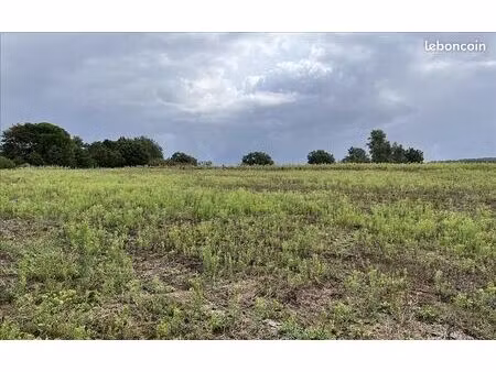 terrain 2 602 m² caubeyres