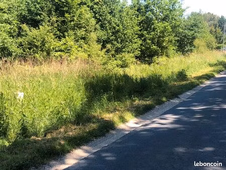 terrain constructible pruniers en sologne